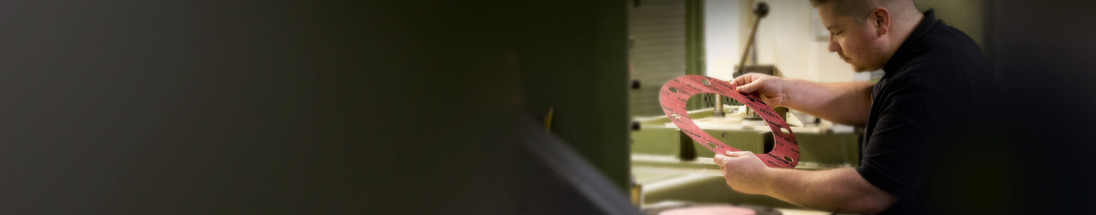 Alba Company Banner 2