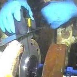 An easy, cost effective Reverse Integrity Testing solution